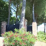 Vitaroccia,