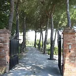 Vitaroccia, *
