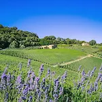 Vitaroccia, * Montepulciano Stazione